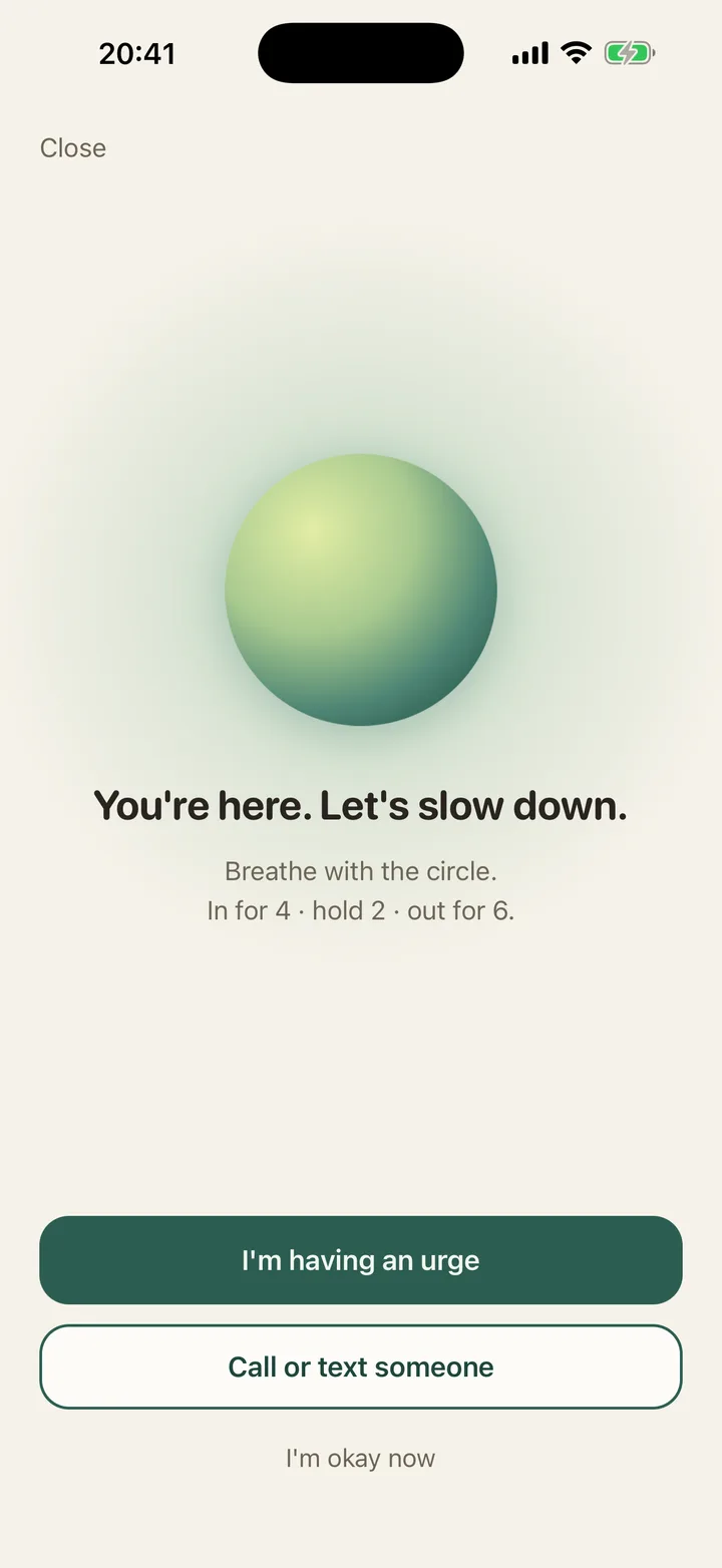 Anchor: a breathing orb, the words You're here, let's slow down, and three calm choices.
